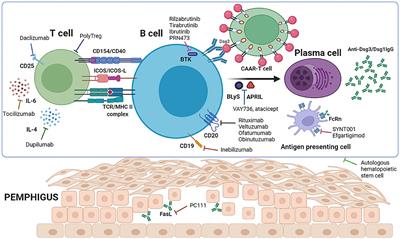 Immunotherapy for Pemphigus: Present and Future